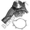 BERGKRAFT BK2287711WP Water Pump